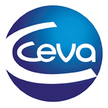 Ceva